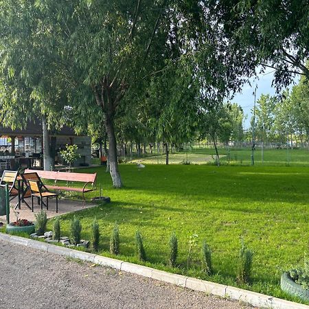 Gigios Sport&Relax Villa Bailesti Екстериор снимка