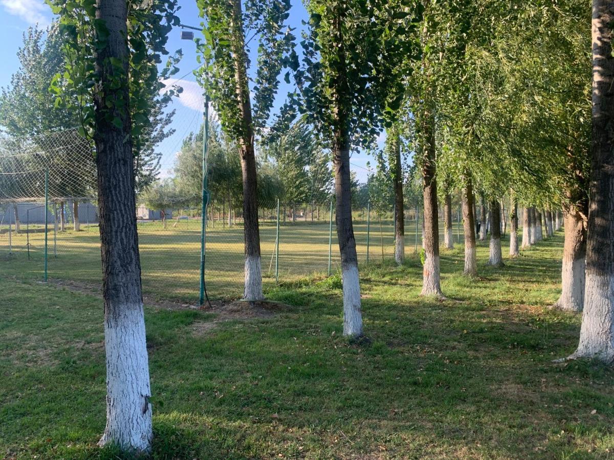 Gigios Sport&Relax Villa Bailesti Екстериор снимка
